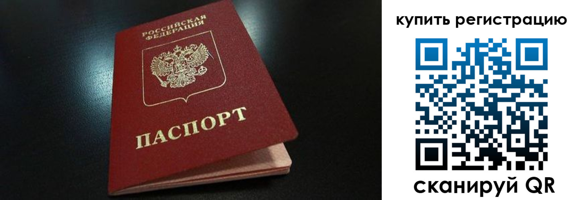 временная регистрация гарантия в Светлогорске