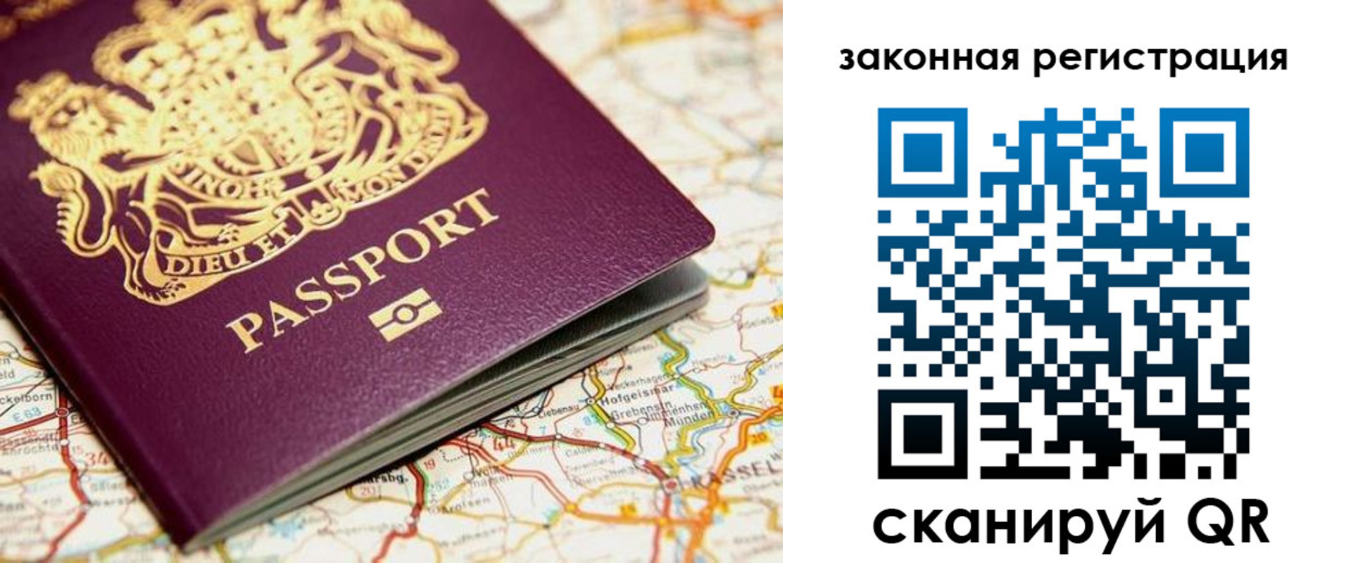 прописка 2025 в Светлогорске